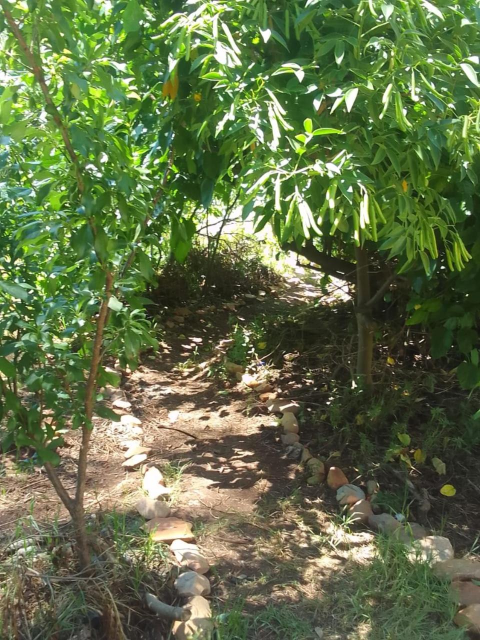 Twee Riviere Bethany Farm מראה חיצוני תמונה