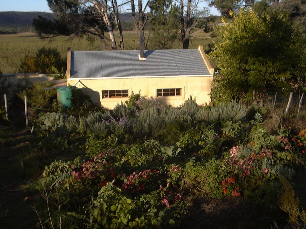 Twee Riviere Bethany Farm מראה חיצוני תמונה