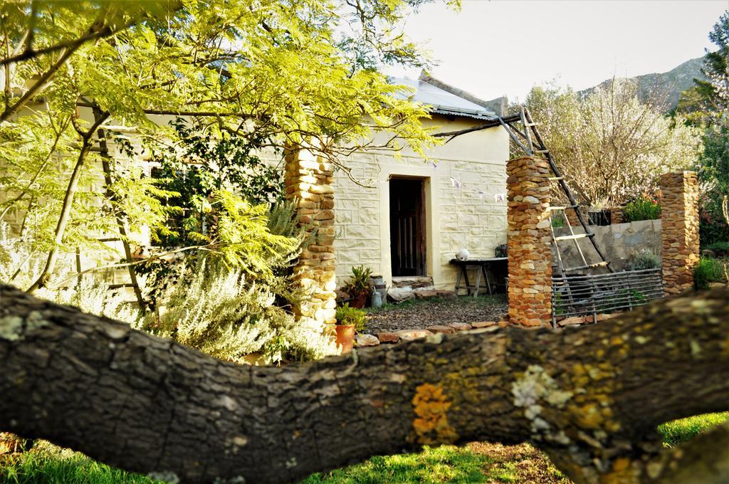 Twee Riviere Bethany Farm מראה חיצוני תמונה