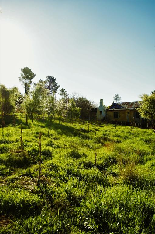 Twee Riviere Bethany Farm מראה חיצוני תמונה