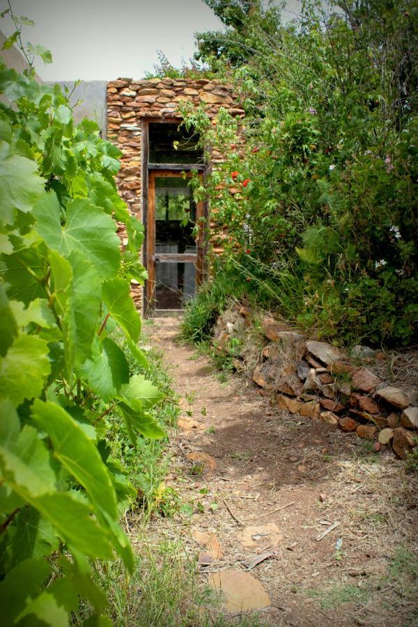 Twee Riviere Bethany Farm מראה חיצוני תמונה